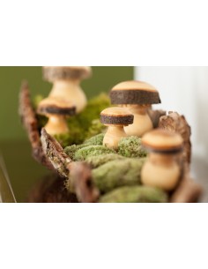 Drechselpilz Gr. 5 (alt: II) Drechselpilz H: 9,5 cm, B: 7,5 cm 2