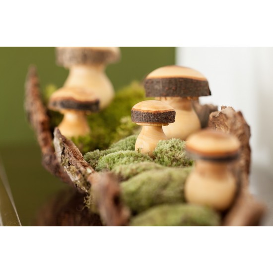 Drechselpilze Drechselpilz - Holzpilz gedrechselt - Höhe: 9,5 cm -  Gr. 5 Schöner Holz Pilz gedrechselt mit schönen Maserungen d