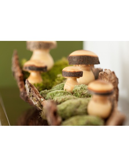 Drechselpilze Drechselpilz - Holzpilz gedrechselt - Höhe: 9,5 cm -  Gr. 5 Schöner Holz Pilz gedrechselt mit schönen Maserungen d Drechselpilze Drechselpilz - Holzpilz gedrechselt - Höhe: 9,5 cm -  Gr. 5 Schöner Holz Pilz gedrechselt mit schönen Maserungen d