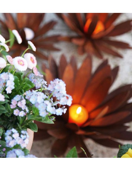 sonstige Blumen Edelrost Chrysantheme Ø 40 cm Teelichthalter auf Platte Chrysantheme zum Aufbiegen
Ø aufgebogen bis 40 cm
Höhe