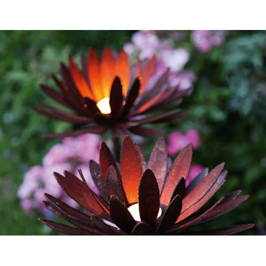 sonstige Blumen Edelrost Chrysantheme Ø 40 cm Teelichthalter auf Platte Chrysantheme zum Aufbiegen
Ø aufgebogen bis 40 cm
Höhe