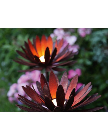 sonstige Blumen Edelrost Chrysantheme Ø 40 cm Teelichthalter auf Platte Chrysantheme zum Aufbiegen
Ø aufgebogen bis 40 cm
Höhe