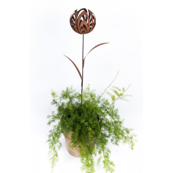 Gartenstecker Gartenstecker Kugelblume - Ø 22 cm - Gesamthöhe 130 cm Edelrost Gartenstecker Kugelblume

Durchmesser Kugelblüte