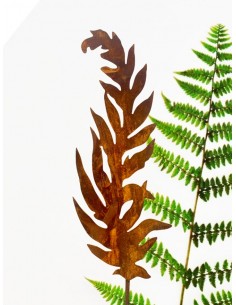 Gartendeko Rost Edelrost Gartenstecker Farn - 45 cm hoch - groß Die größte Ausführung der wilden Farne überzeugt durch die warme