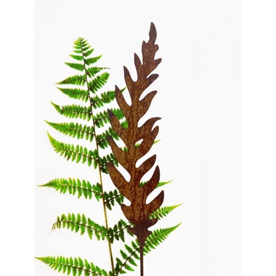 Gartendeko Rost Edelrost Gartenstecker Farn - 40 cm hoch - mittel Dieser Farn ist ein wildwachsender Farn in der mittelgroßen Va