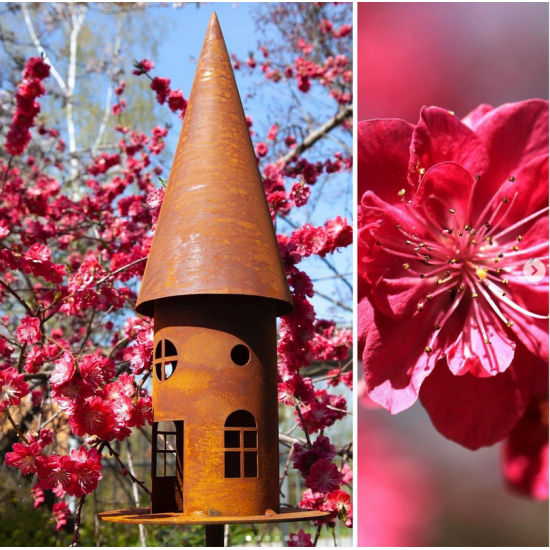 Vogelhäuser Vogelhaus - 2 - Höhe 53cm - Vogelfutterhaus mit Windlicht Funktion Deko-Vogelhaus rund schmal
Höhe 53 cm
Platte 20