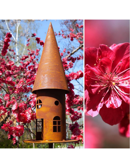Vogelhäuser Vogelhaus - 2 - Höhe 53cm - Vogelfutterhaus mit Windlicht Funktion Deko-Vogelhaus rund schmal
Höhe 53 cm
Platte 20 Vogelhäuser Vogelhaus - 2 - Höhe 53cm - Vogelfutterhaus mit Windlicht Funktion Deko-Vogelhaus rund schmal
Höhe 53 cm
Platte 20