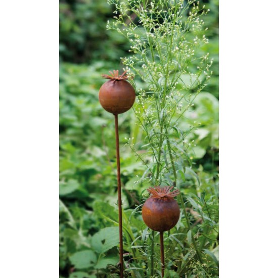 Gartendeko Rost Mohnkapsel Gartenstecker Höhe 40 cm 
Höhe 6,5 cm
Breite 6,5 cm
Stangen Höhe 40 cm
