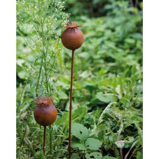 Gartendeko Rost Mohnkapsel Gartenstecker Rost Höhe 60 cm 
Höhe 6,5 cm
Breite 6,5 cm
Höhe 60 cm
