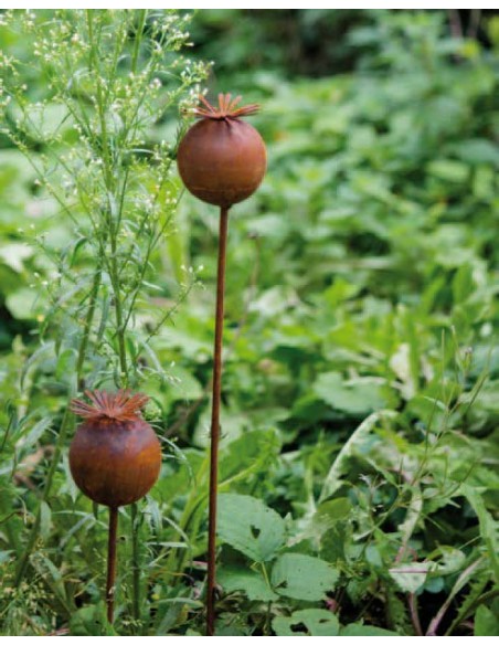 Gartendeko Rost Mohnkapsel Gartenstecker Rost Höhe 60 cm 
Höhe 6,5 cm
Breite 6,5 cm
Höhe 60 cm
