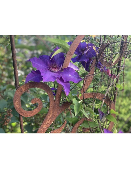 Barock Deko Rankhilfe Dornröschen mit 2 verschieden hohen Stäben und Kugeln - Höhe 160 cm Die Edelrost Rankhilfe mit Onrnamenten