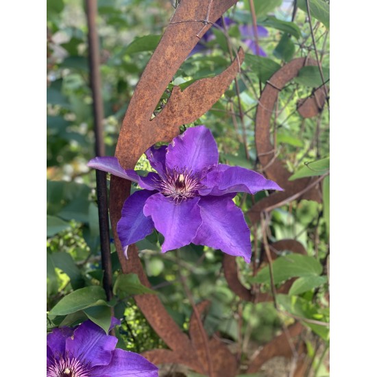 Barock Deko Rankhilfe Dornröschen mit 2 verschieden hohen Stäben und Kugeln - Höhe 160 cm Die Edelrost Rankhilfe mit Onrnamenten