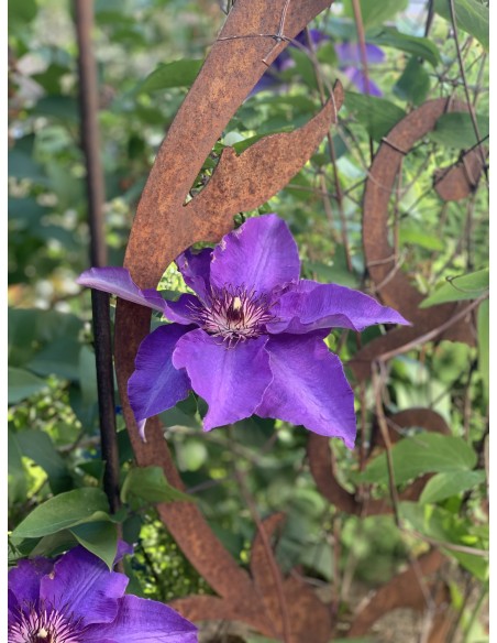 Barock Deko Rankhilfe Dornröschen mit 2 verschieden hohen Stäben und Kugeln - Höhe 160 cm Die Edelrost Rankhilfe mit Onrnamenten