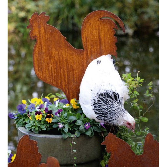 Gartendeko Rost Hahn seitlich stehend auf Platte - 46 cm hoch Hahn seitlich stehend auf einer Standplatte.

Höhe 46 cm
Breite