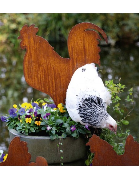 Gartendeko Rost Hahn seitlich stehend auf Platte - 46 cm hoch Hahn seitlich stehend auf einer Standplatte.

Höhe 46 cm
Breite