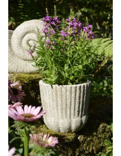 Start Topf - Amourie - Sand Gr. - Ø 21 cm - Gartendeko 
Durchmesser 21 cm
Tiefe 20 cm
 2