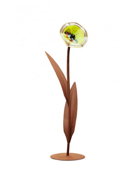 Edelrostblume - Katrin - ohne Blütenteller - Höhe 100 cm