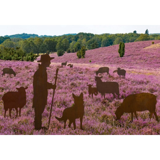 Schafherde - Deko Schafe groß mit Schäfer als Gartenfiguren Lebensgroßes Schaf grasend - Dekofigur mit Rohr zum Stecken - Höhe 7