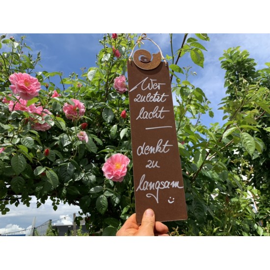 rostige Spruchtafeln Wer zuletzt lacht, denkt zu langsam! - 15 x H: 25 cm Lustiger Spruch auf Blechschild Wer zuletzt lacht, den