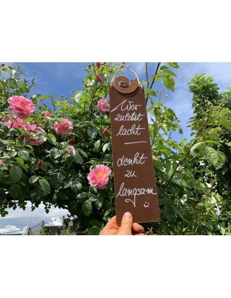 rostige Spruchtafeln Wer zuletzt lacht, denkt zu langsam! - 15 x H: 25 cm Lustiger Spruch auf Blechschild Wer zuletzt lacht, den