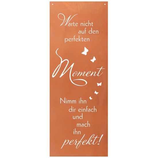 Spruch Warte nicht auf den perfekten Moment, nimm Ihn Dir einfach und mach in perfekt - Blechschild mit Spruch