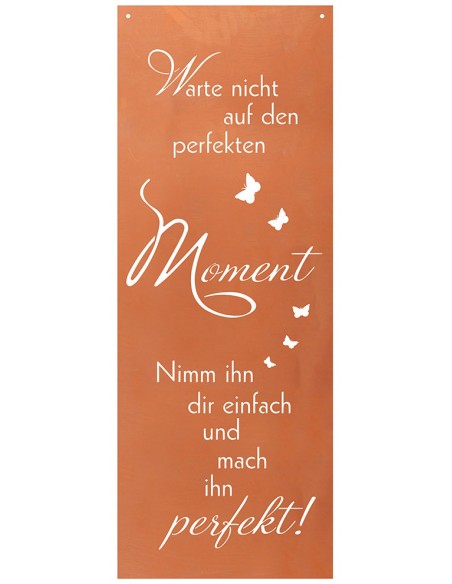 Spruch Warte nicht auf den perfekten Moment, nimm Ihn Dir einfach und mach in perfekt - Blechschild mit Spruch