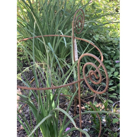 Staudenhalter Metall Staudenhalter - Sonnblick - mit 4 Curls - 80 cm hoch Diese Staudenhalter sind mit unterschiedlichen Durchme