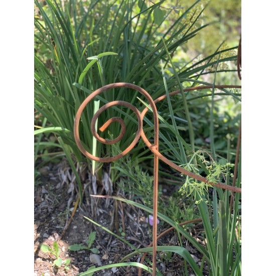 Staudenhalter Metall Staudenhalter - Sonnblick - mit 4 Curls - 80 cm hoch Diese Staudenhalter sind mit unterschiedlichen Durchme