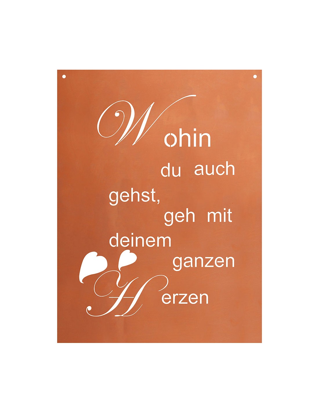 Fuesse und Knoechel Die Fuesse sind laut Phil Burt der wichtigste Kontaktpunkt zwischen dem Fahrer und seinem Bike. Und gerade diese Stelle ist aufgrund verschiedenster Variablen