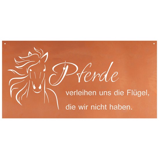 Pferde verleihen uns die Flügel, die wir nicht haben. - Pferdespruch
