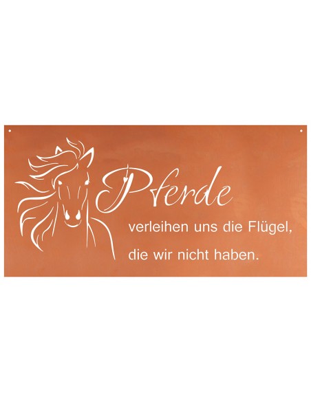 Pferde verleihen uns die Flügel, die wir nicht haben. - Pferdespruch
