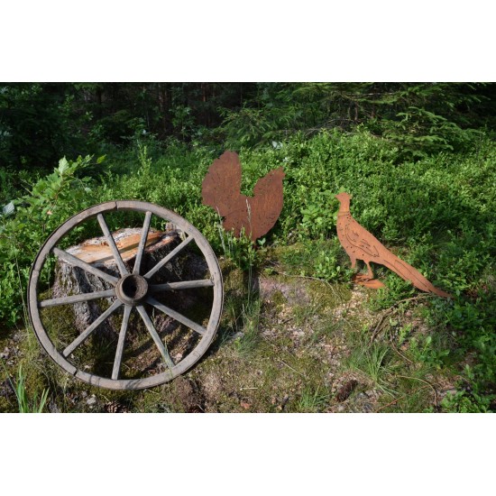 Wildschwein, Fasan und Auerhahn Dekofigur Auerhahn - Höhe  65cm 
Höhe 65 cm 
Breite 54 cm
auf einer stabilen Bodenplatte
