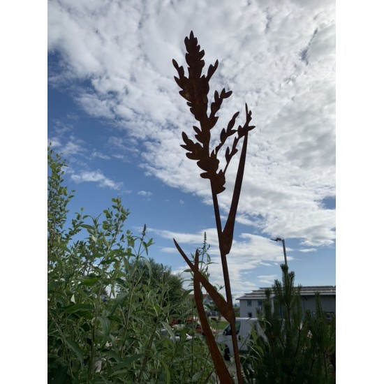 Gartenstecker Großer Gras Gartenstecker Höhe 160 cm 
Höhe 160 cm
