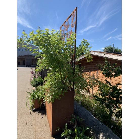 Blumentöpfe - Pflanztöpfe in Edelrost Hochbeet mit Halterung für Sichtschutzwände 120 cm lang 80 hoch 40 tief Dieser Topf ist id