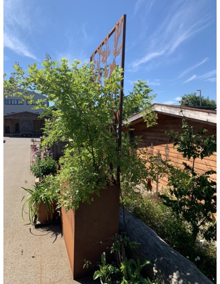 Blumentöpfe - Pflanztöpfe in Edelrost Hochbeet mit Halterung für Sichtschutzwände 120 cm lang 80 hoch 40 tief Dieser Topf ist id