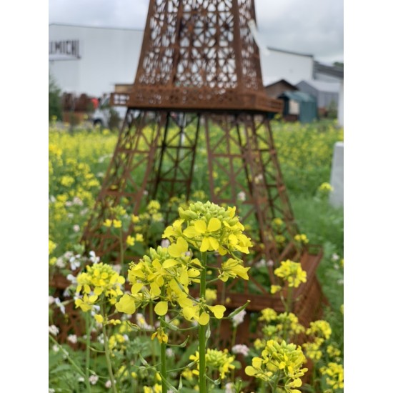 Gartendeko Rost Edelrost Eiffelturm - Groß - Höhe 340 cm Gigantischer Eiffelturm aus Edelrost
Mit dem Deko Eiffelturm aus Metal