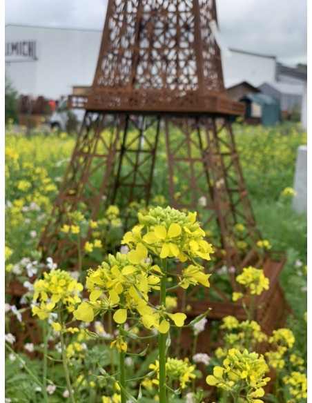 Gartendeko Rost Edelrost Eiffelturm - Groß - Höhe 340 cm Gigantischer Eiffelturm aus Edelrost
Mit dem Deko Eiffelturm aus Metal