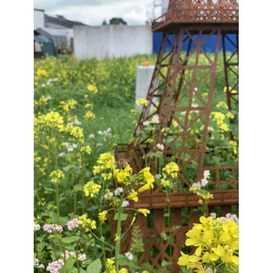 Gartendeko Rost Edelrost Eiffelturm - Groß - Höhe 340 cm Gigantischer Eiffelturm aus Edelrost
Mit dem Deko Eiffelturm aus Metal