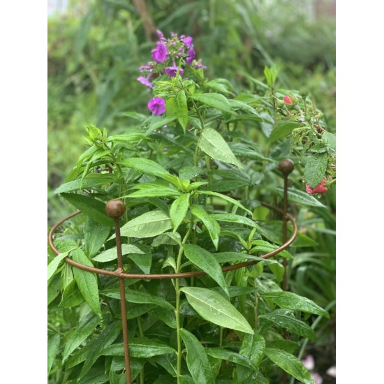 Staudenhalter Metall Staudenhalter - Sonnblick - mit 3 Kugeln 80 cm hoch schlichter Metall Staudenhalter erhältlich in folgenden