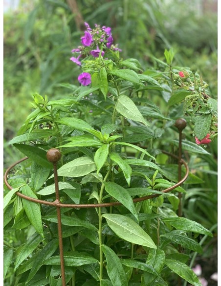 Staudenhalter Metall Staudenhalter - Sonnblick - mit 3 Kugeln 80 cm hoch schlichter Metall Staudenhalter erhältlich in folgenden