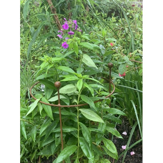 Staudenhalter Metall Staudenhalter - Sonnblick - mit 3 Kugeln 80 cm hoch schlichter Metall Staudenhalter erhältlich in folgenden