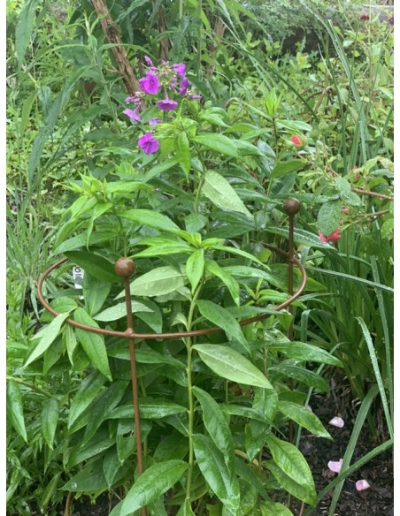 Staudenhalter Metall Staudenhalter - Sonnblick - mit 3 Kugeln 80 cm hoch schlichter Metall Staudenhalter erhältlich in folgenden