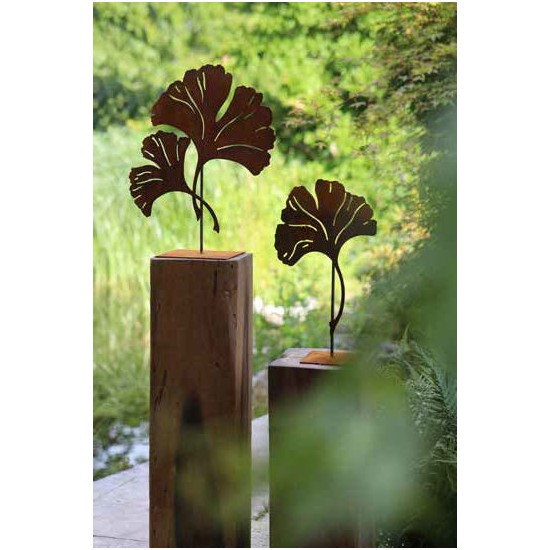 Einzelnes Ginkgoblatt auf eckiger Platte