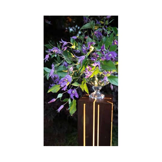 Skylight - groß 
Höhe 120 cm
Grundfläche 24x24 cm
Platte 30x30 cm