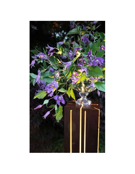 Skylight - groß 
Höhe 120 cm
Grundfläche 24x24 cm
Platte 30x30 cm