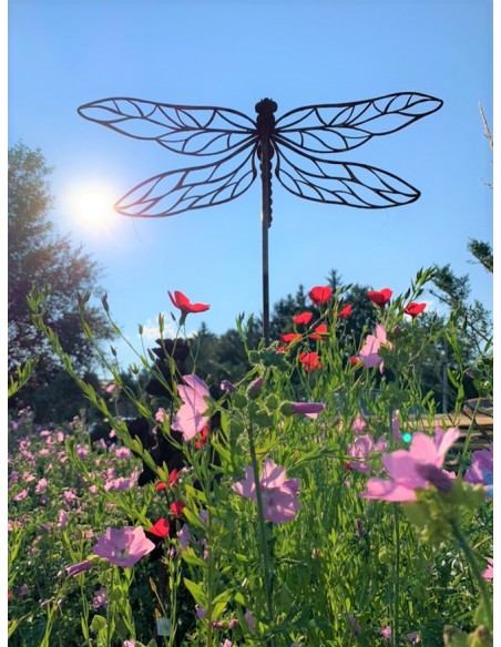 Tierstecker Edelrost Libelle - Dragonfly - auf einer Blumenwiese - Sonnenstrahlen