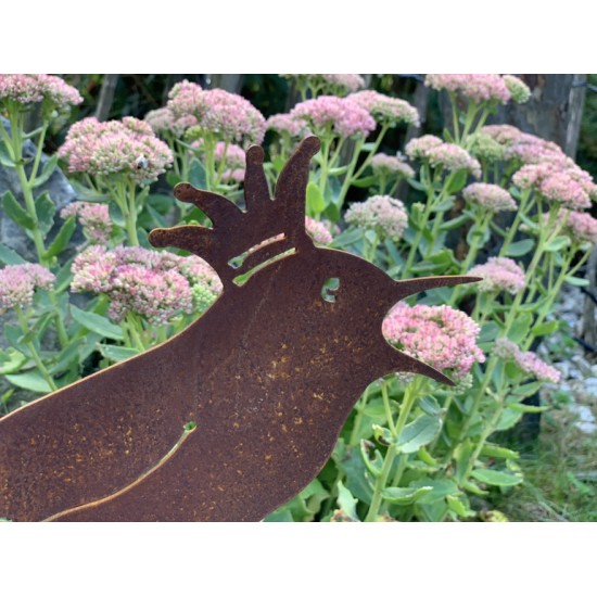 Vogel Deko Zaunkönig Topfstecker 30 cm - groß - Deko Vogel mit Krone 
Gartenstecker Zaunkönig mit einer Krone auf dem Kopf
Der