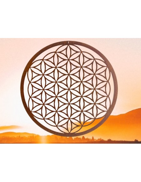 Blume des Lebens Blume des Lebens - Metall Wandbild - Ø 45 cm Großes Wandbild Blume des Lebens mit 45 cm Durchmesser

filigran