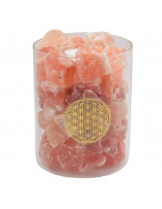 Salzkristall Lampe Salzkristall beleuchtet im Glas - Blume des Lebens - 19 cm hoch - Palm Light Dieses schöne Glas mit Salzkrist