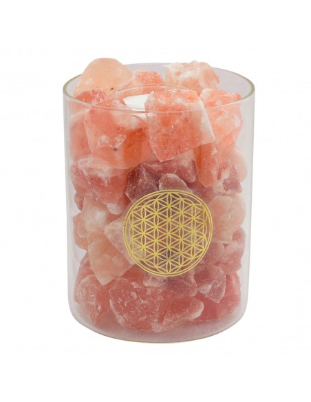 Salzkristall Lampe Salzkristall beleuchtet im Glas - Blume des Lebens - 19 cm hoch - Palm Light Dieses schöne Glas mit Salzkrist